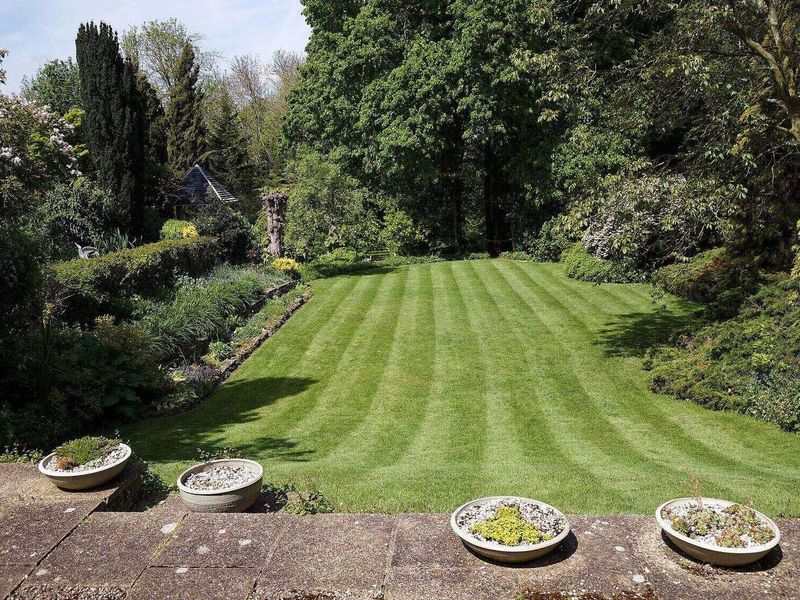 Pas gemaaid gazon met maaistroken, omringd door borders en bomen